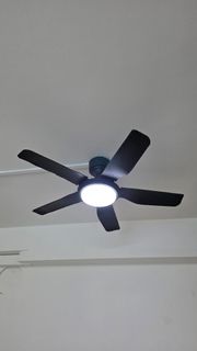 (Category: ) located in . Submitted by saifuddin51 (Listing ID 1449418297, Image 1). Description: .