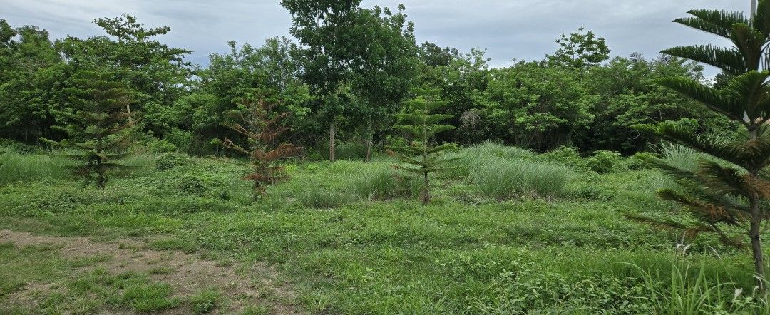 Farm lot in Amadeo Cavite (Category: Lot) located in Binan City. Submitted by topline58 (Listing ID 1449468838, Image 2). Description: Own a Residential Farm Lot in Amadeo, Cavite – Just 10 mins from Tagaytay (with flexible terms available) 🌿 Enjoy a cool, quiet, and peaceful environment in one of the lowest crime rate towns in Cavite — perfect for rest homes, farming, or long-term investment. RESIDENTIAL FARM LOTS FOR SALE 📍 Brgy. Pangil, Amad