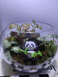(Category: ) located in . Submitted by happyforest_0018a0 (Listing ID 1449480202, Image 1). Description: .