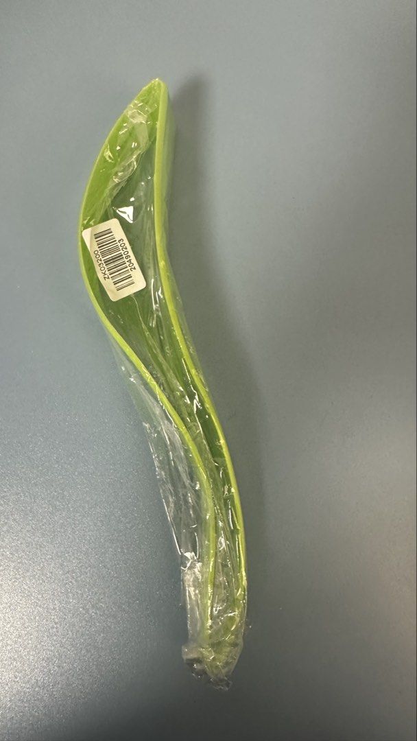 Green Curved Cake Slicer508621356637235200