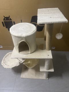 (Category: ) located in . Submitted by catlovers76 (Listing ID 1449446886, Image 1). Description: .