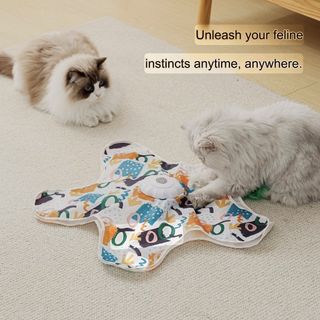 Pet lovers — all sort of stuff for pets Collection item 2