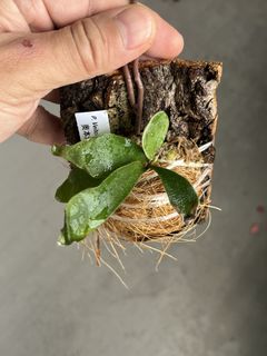 (Category: ) located in . Submitted by sghaworthiahabitat (Listing ID 1449502585, Image 1). Description: .