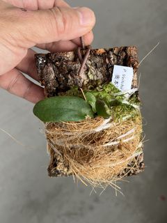 (Category: ) located in . Submitted by sghaworthiahabitat (Listing ID 1449502781, Image 1). Description: .