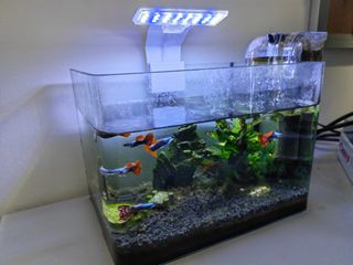 (Category: ) located in . Submitted by itashi (Listing ID 1449403260, Image 1). Description: .