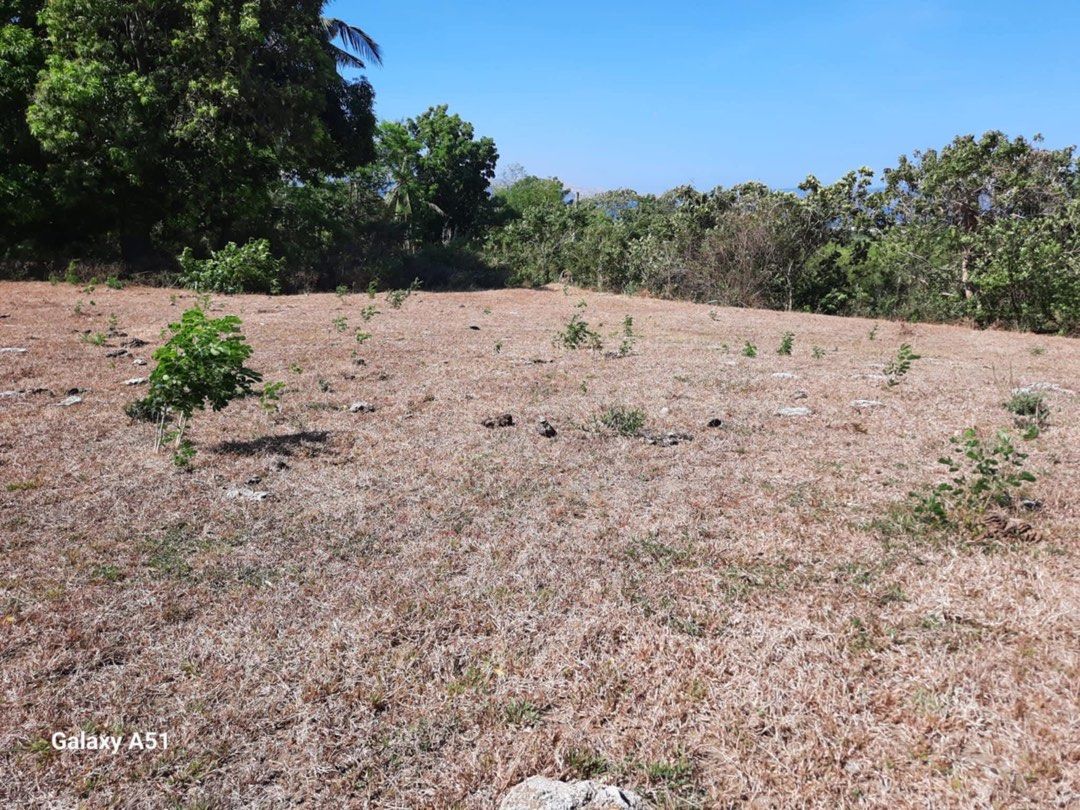 Taal View Heights Lot (Category: Lot) located in Manila. Submitted by catherine46746 (Listing ID 1449419745, Image 3). Description: Taal View Heights – 754 sqm lot for sale • Scenic overlooking view of Taal • Only 20 minutes from Tagaytay • Direct sale by owner (no agents).