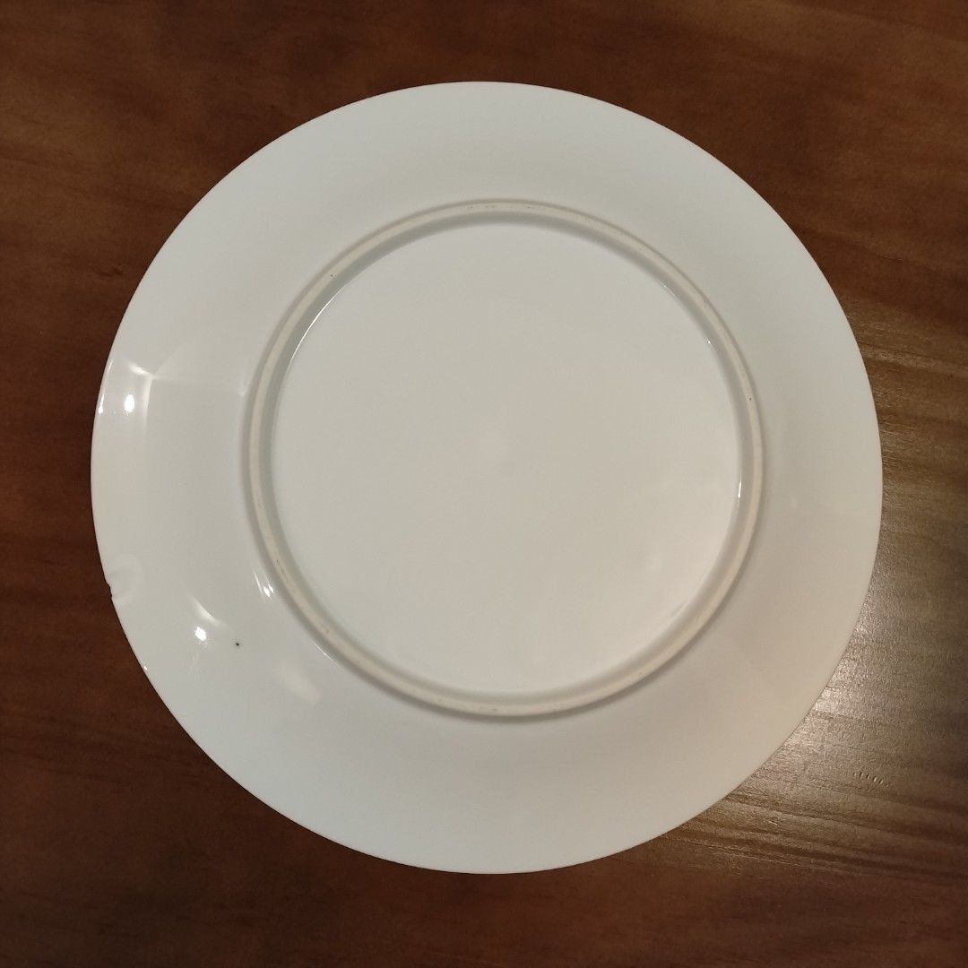 White Dinner Plate (small chip)508513536180889601
