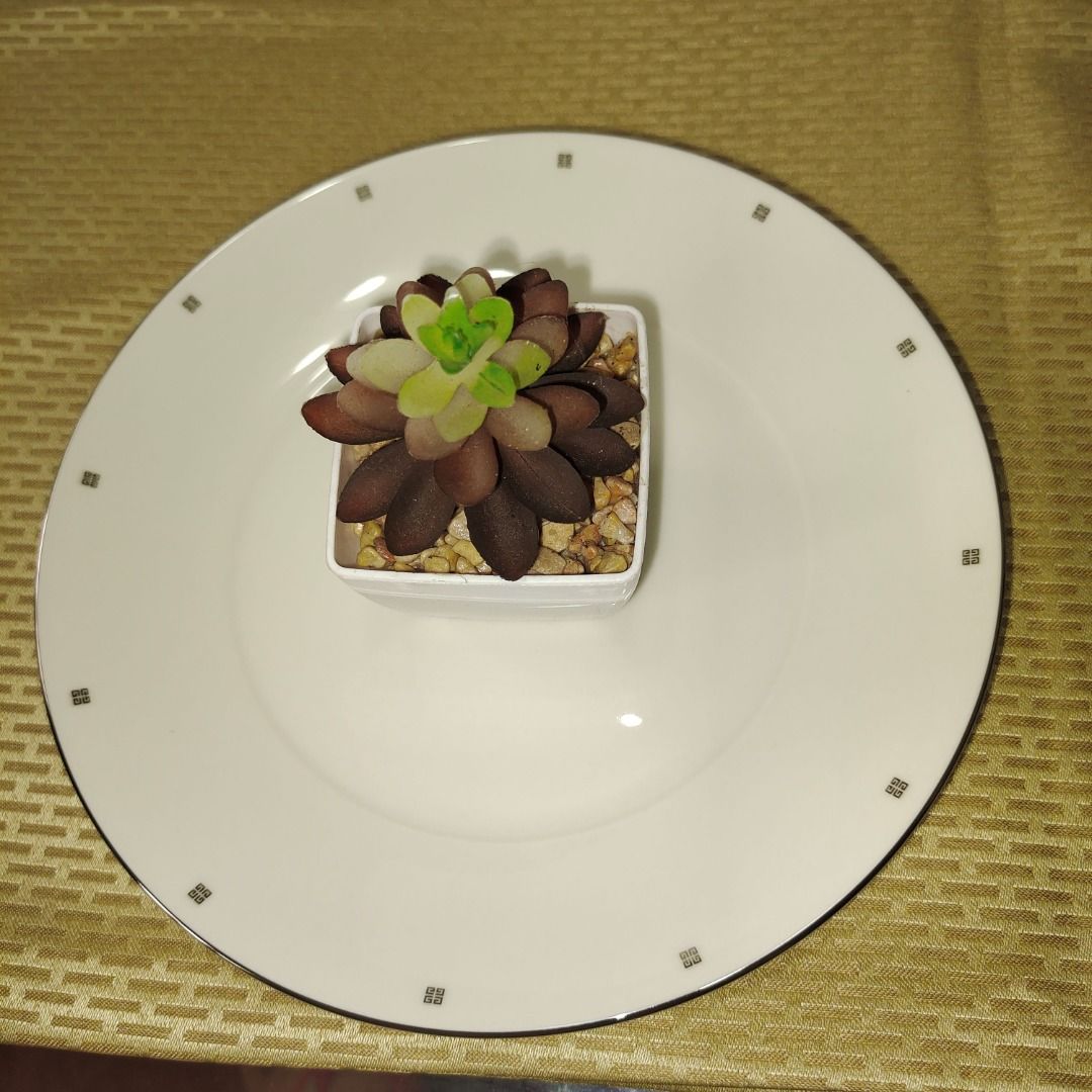 White Teacup and Saucer Set with Cake Plates Set (Category: Coffee & Tea Tableware) located in Pasig City. Submitted by novashelf (Listing ID 1449372500, Image 3). Description: ● Unused or New with the original box ● Japan ● Teacup Rim Diameter: 7.5 cm/2.8 inches Height: 7.3 cm/2.6 inches ● Saucer Diameter: 14.7 cm/5.6 inches ● Cake Plate Diameter: 20 cm/7.6 inches ● Non-microwavable ● Dishwasher unsafe Note: A little discoloration may be due to 