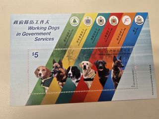 （分類：）位於 。 由 shelleyboy 提交（商品編號 1449541402，圖片 1）。簡介： 。