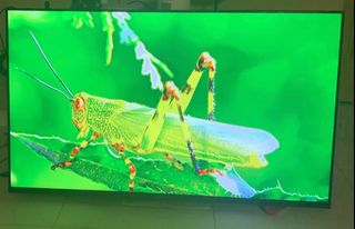 (Category: ) located in . Submitted by bestfriendsss (Listing ID 1449649635, Image 1). Description: .