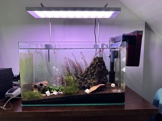 (Category: ) located in . Submitted by eric_555 (Listing ID 1449747556, Image 1). Description: .