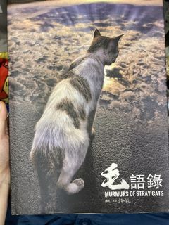 （分類：）位於 。 由 knhcollect 提交（商品編號 1449648949，圖片 1）。簡介： 。