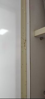 (Category: ) located in . Submitted by home_pest_specialist (Listing ID 1449721561, Image 1). Description: .