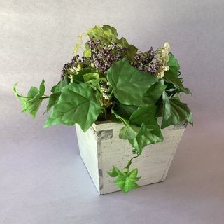 (Category: ) located in . Submitted by atbpshop192593 (Listing ID 1449734272, Image 1). Description: .