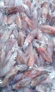(Category: ) located in . Submitted by fisherman_baits609 (Listing ID 253562291, Image 1). Description: .