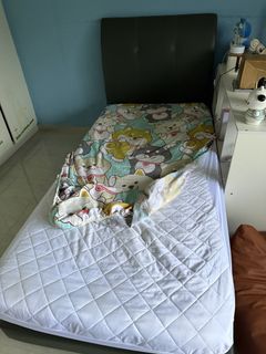 (Category: ) located in . Submitted by peaanut (Listing ID 1449642727, Image 1). Description: .