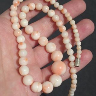 (Category: ) located in . Submitted by maxineamber (Listing ID 1449543239, Image 1). Description: .