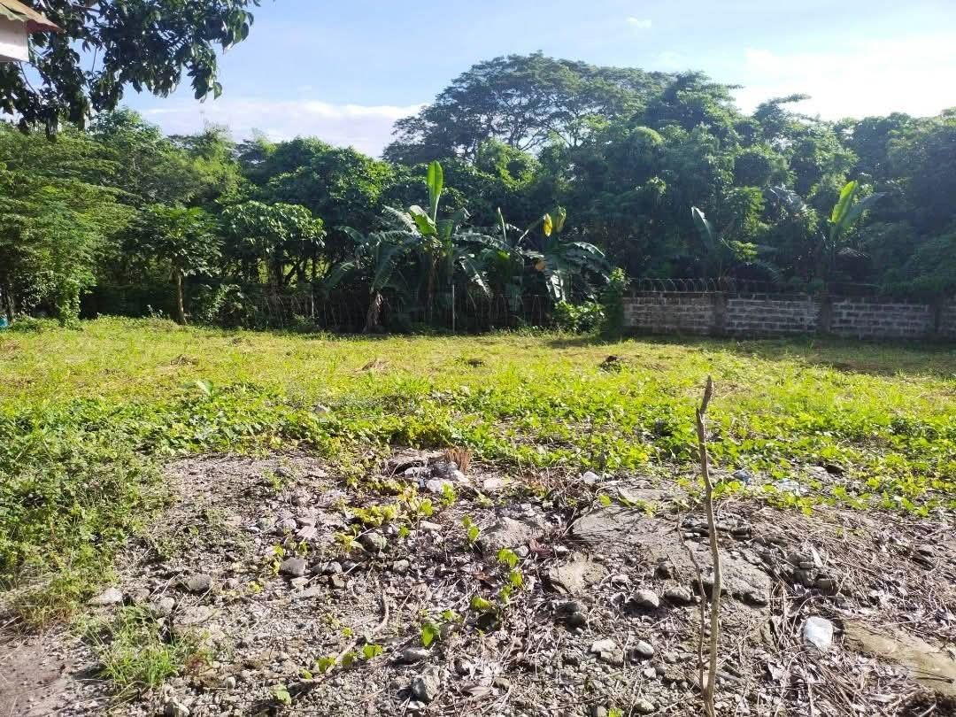 Dasmarinas Salitran Cavite lot (Category: Lot) located in Bacoor. Submitted by mamyrn (Listing ID 1449660589, Image 3). Description: Lot for sale in Green Meadows Salitran Dasmarinas Cavite Blk 2 Lot 36 End Lot 432 sqm 16000 per sqm Near De La Salle University Near Molino Paliparan Road With lots of access road going to Manila via MCX Clean Title Cash or Bank Financing Flood free area.