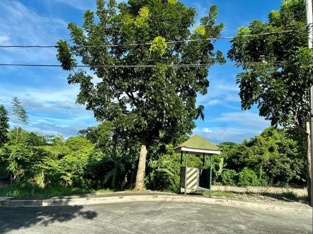 Dasmarinas Salitran Cavite lot (Category: Lot) located in Bacoor. Submitted by mamyrn (Listing ID 1449660589, Image 2). Description: Lot for sale in Green Meadows Salitran Dasmarinas Cavite Blk 2 Lot 36 End Lot 432 sqm 16000 per sqm Near De La Salle University Near Molino Paliparan Road With lots of access road going to Manila via MCX Clean Title Cash or Bank Financing Flood free area.