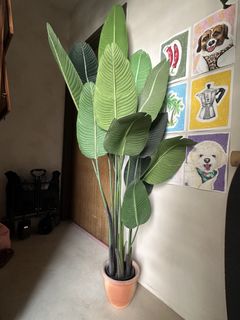 (Category: ) located in . Submitted by banmianfriend (Listing ID 1449561579, Image 1). Description: .