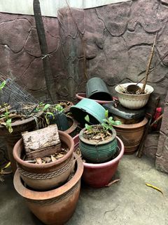 (Category: ) located in . Submitted by angely12 (Listing ID 1449637178, Image 1). Description: .