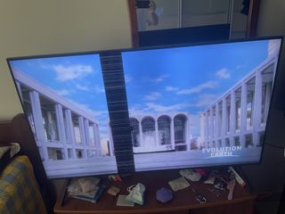 (Category: ) located in . Submitted by jellybean55 (Listing ID 1449573958, Image 1). Description: .