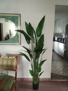 (Category: ) located in . Submitted by alvinchowkk (Listing ID 1449598599, Image 1). Description: .