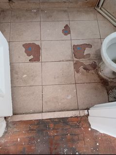 (Category: ) located in . Submitted by handyman024 (Listing ID 1449597323, Image 1). Description: .