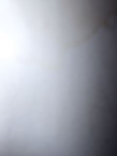 (Category: ) located in . Submitted by griphix (Listing ID 1449658529, Image 1). Description: .