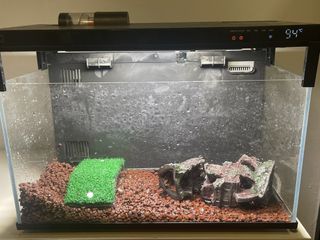 (Category: ) located in . Submitted by novafinds (Listing ID 1449871651, Image 1). Description: .