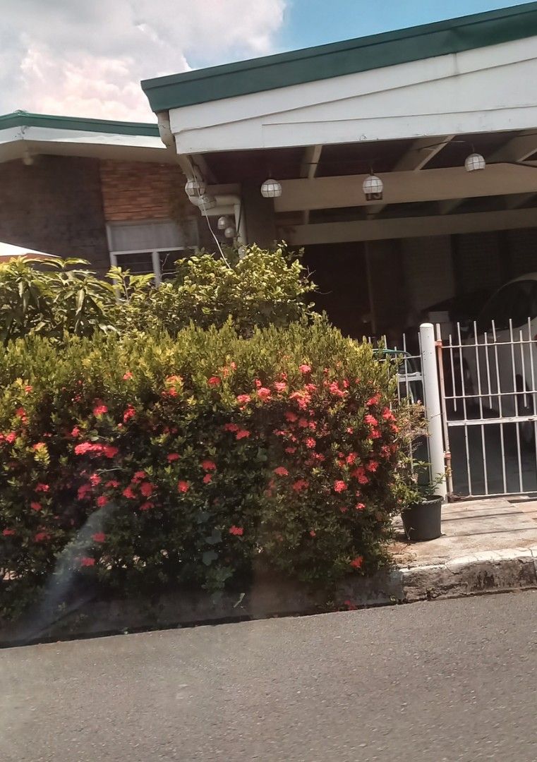 Bungalow House For Rent (Category: House & Lot) located in Las Pinas. Submitted by baby.abaya (Listing ID 1449782316, Image 1). Description: Bungalow House For Rent Philamlife Village 299sqm 3 Bedrooms Den 2 T&B Maid's Room Driver's Room with own cr 2 Car Garage.