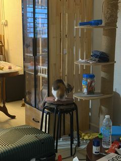 (Category: ) located in . Submitted by dannymichaels (Listing ID 1449779246, Image 1). Description: .