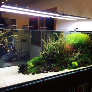(Category: ) located in . Submitted by ascape (Listing ID 1449810902, Image 1). Description: .