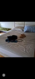 (Category: ) located in . Submitted by lixire (Listing ID 1449855865, Image 1). Description: .