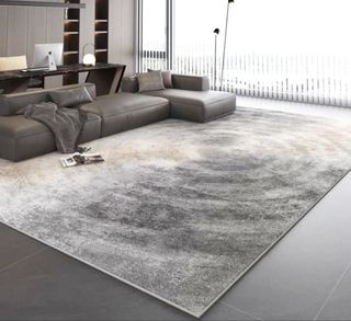 4m x 2/2.5m Velvet Feel Extra Large Carpets/Rugs 收藏品 1