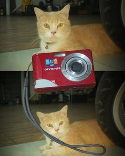 (Kategori: ) berada di . Dikirim oleh pcyeol_ (ID iklan 1449769036, Gambar 1). Deskripsi: .