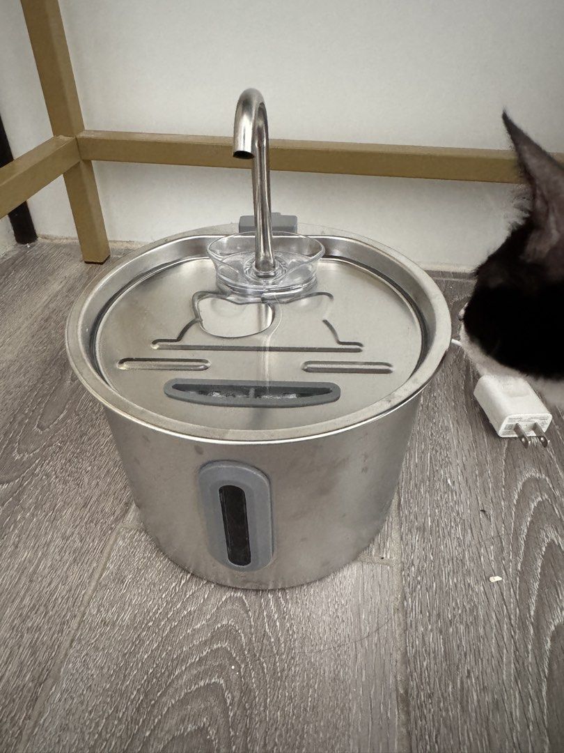 Electric Drinking Water Fountain for Cats (Category: Homes & Other Pet Accessories) located in Davao. Submitted by vannylla_ (Listing ID 1449820161, Image 1). Description: Electric drinking water fountain for cats ⭐️ Used once only ⭐️ Made of stainless steel ⭐️ With backup water filter (sponge) RFS: my cats prefer drinking from an old plastic container 🥲 For more details, just pm me. .