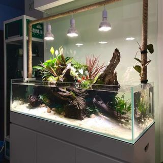 (Category: ) located in . Submitted by ascape (Listing ID 1449817250, Image 1). Description: .