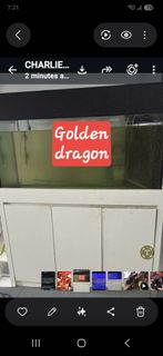(Category: ) located in . Submitted by tokkong101 (Listing ID 1449863225, Image 1). Description: .