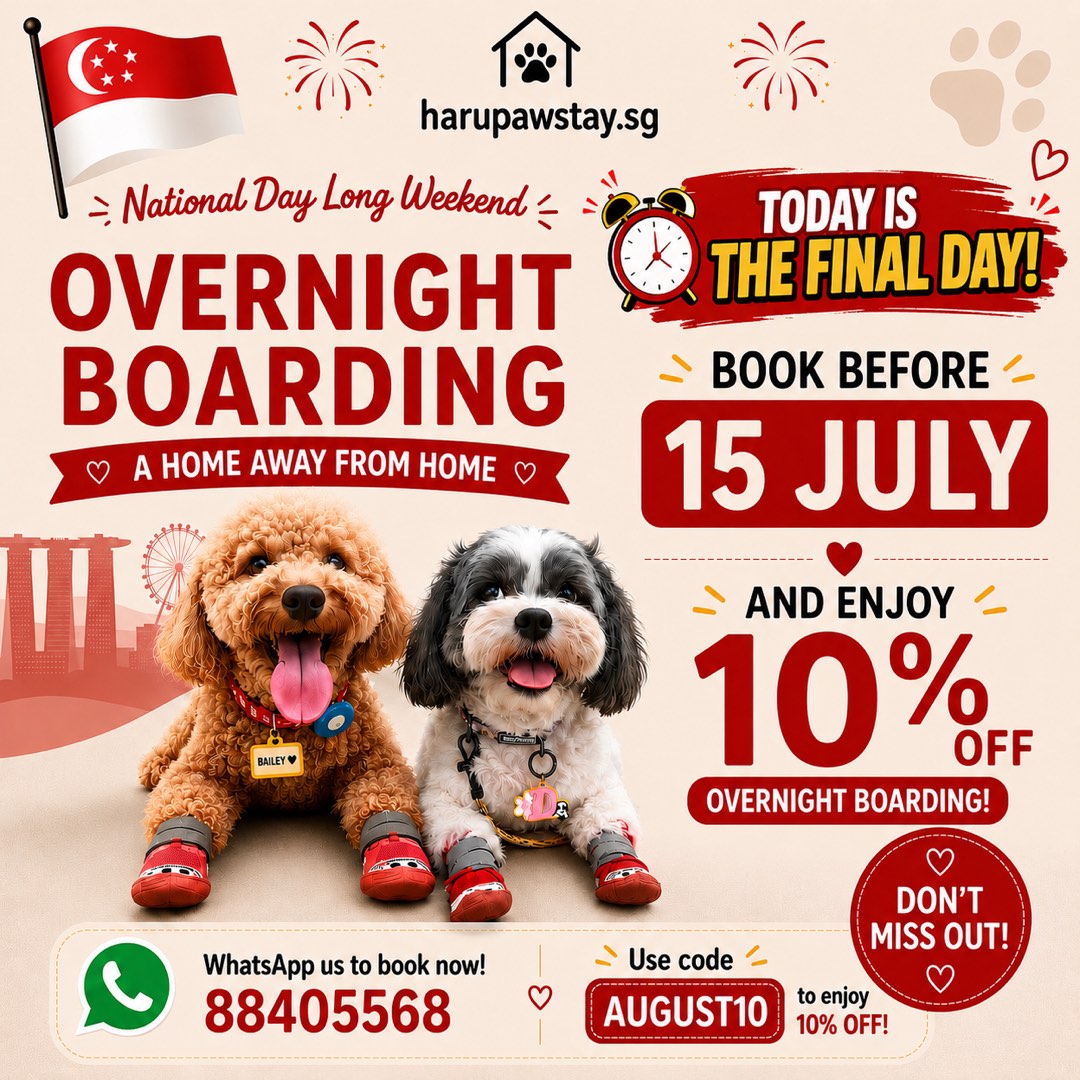 (Category: ) located in . Submitted by harupawstay.sg (Listing ID 1433042674, Image 1). Description: .