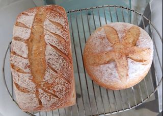 (Category: ) located in . Submitted by cakes.n.biscuits (Listing ID 1447635382, Image 1). Description: .