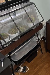 (Category: ) located in . Submitted by dameun (Listing ID 1449923930, Image 1). Description: .