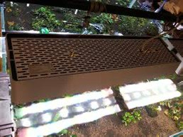 （分類：）位於 。 由 liaco 提交（商品編號 1449749976，圖片 1）。簡介： 。