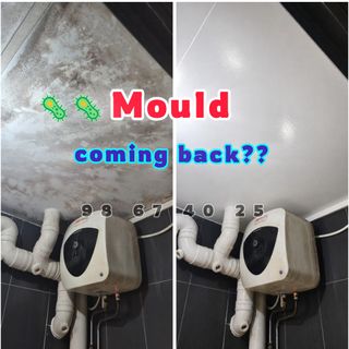 Mould Treatment  Collection item 2