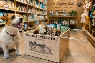 (Category: ) located in . Submitted by ecocrates (Listing ID 1449942387, Image 1). Description: .