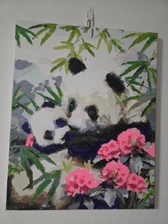 (Category: ) located in . Submitted by raccoongals (Listing ID 1449870398, Image 1). Description: .