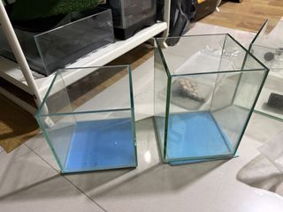 (Category: ) located in . Submitted by dameun (Listing ID 1449926759, Image 1). Description: .