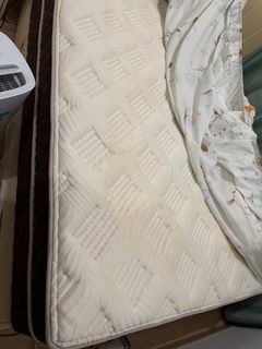 （分類：）位於 。 由 flowermanm63245 提交（商品編號 1449903813，圖片 1）。簡介： 。