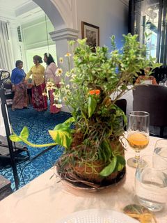 (Category: ) located in . Submitted by ferretingflorist (Listing ID 1449813212, Image 1). Description: .