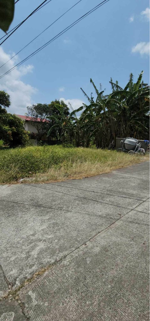 (Category: ) located in . Submitted by lgcreb (Listing ID 1449995260, Image 1). Description: .